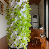 Planejar e montar sua horta