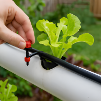 Sistema de circulação da água