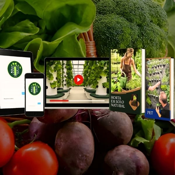 Oferta Curso Horta Hidropônica